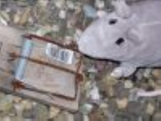 אל תהיו פזיזים