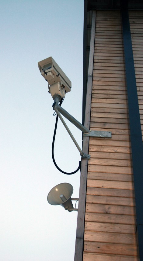 העין רואה הלב חומד והמצלמה לא מפספסת