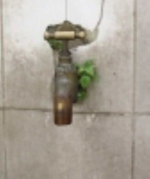 הזול הוא יקר...