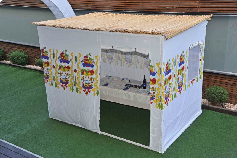 זריזים מקדימים...